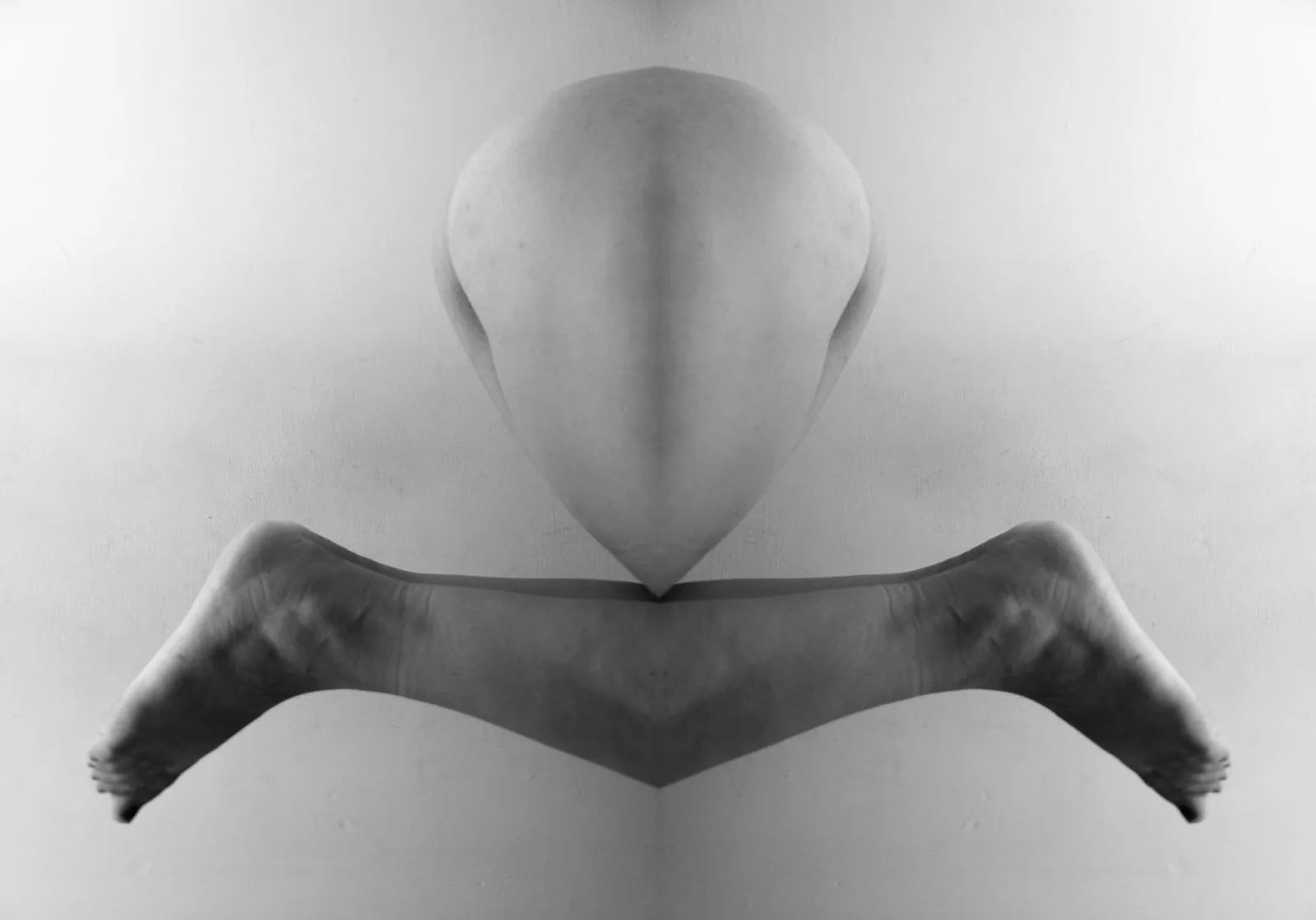 Guns and roses, from the series Sensus, 2014