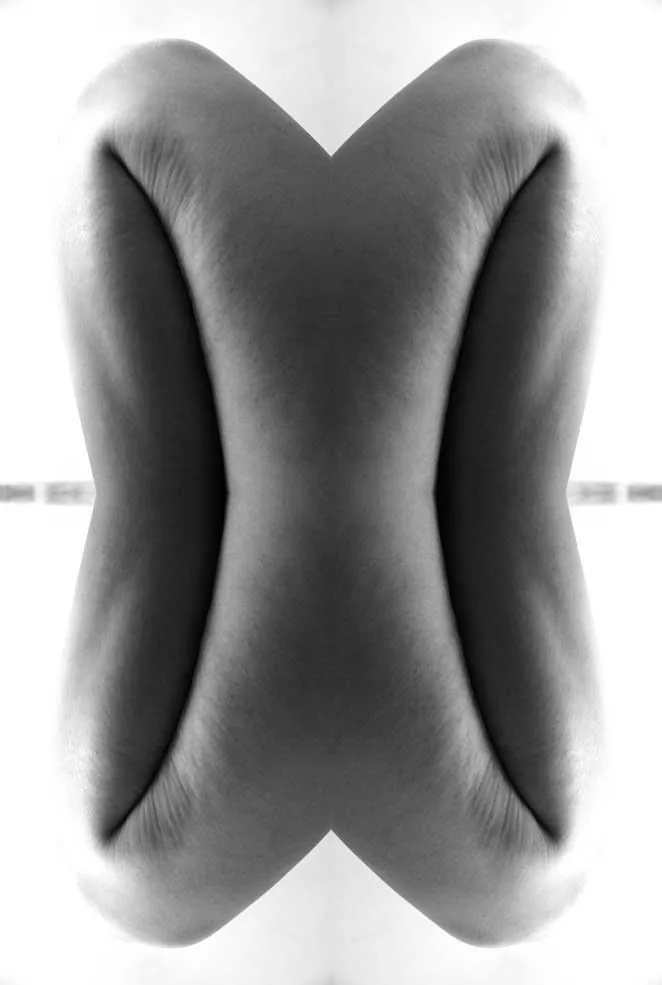 Horn, from the series Sensus, 2014