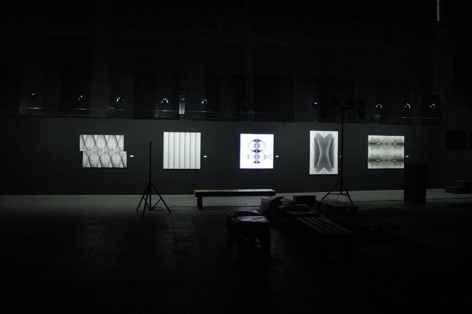 Installation view of Sensus across the gallery floor