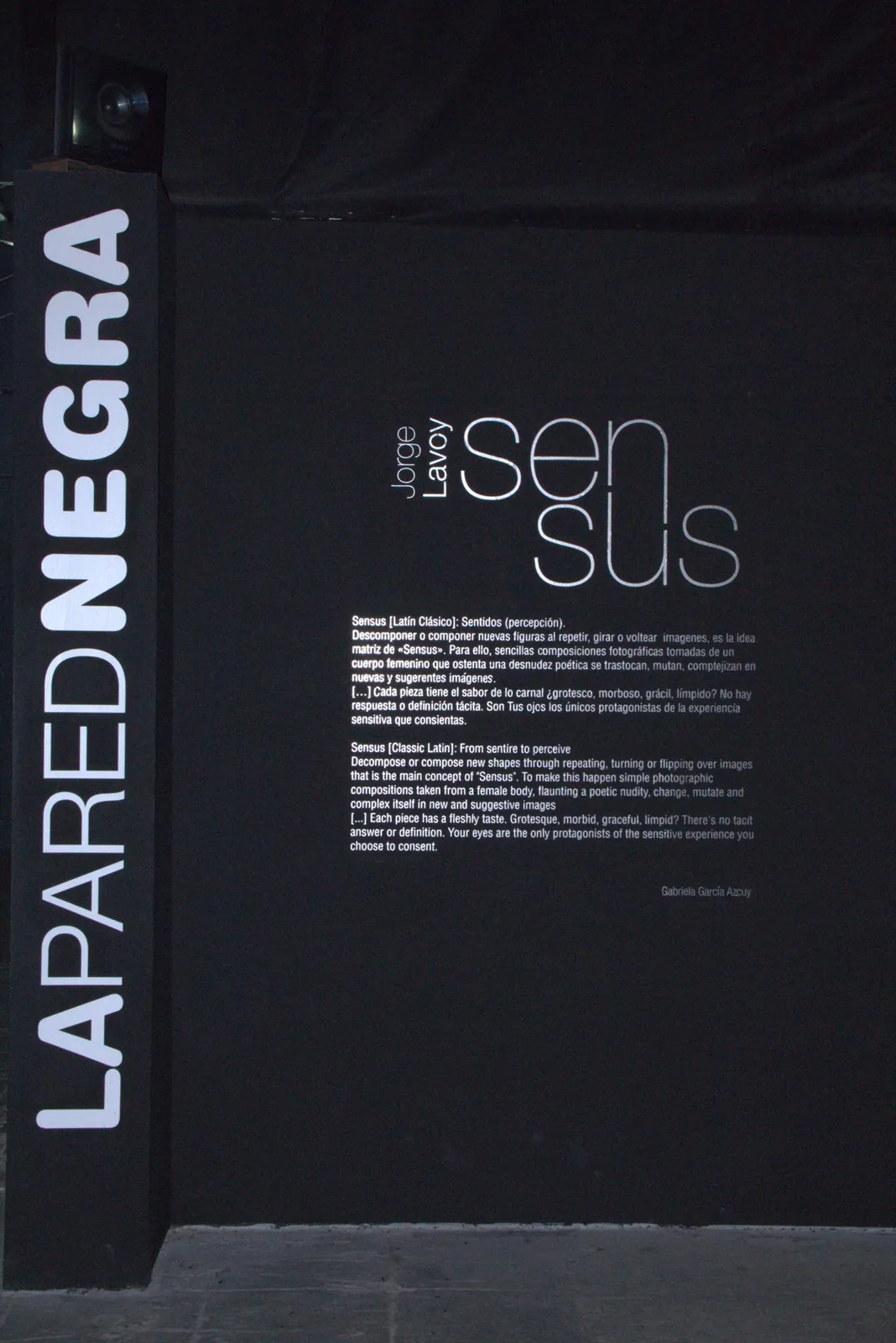 Exhibition title wall and text, Sensus, La Pared Negra