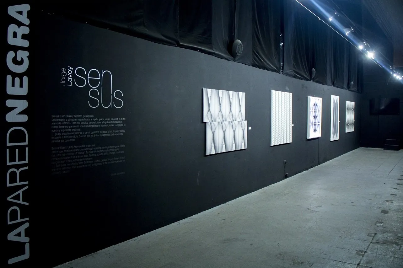 Installation view of Sensus on the black wall of La Pared Negra, Fábrica de Arte Cubano, Havana, 2014