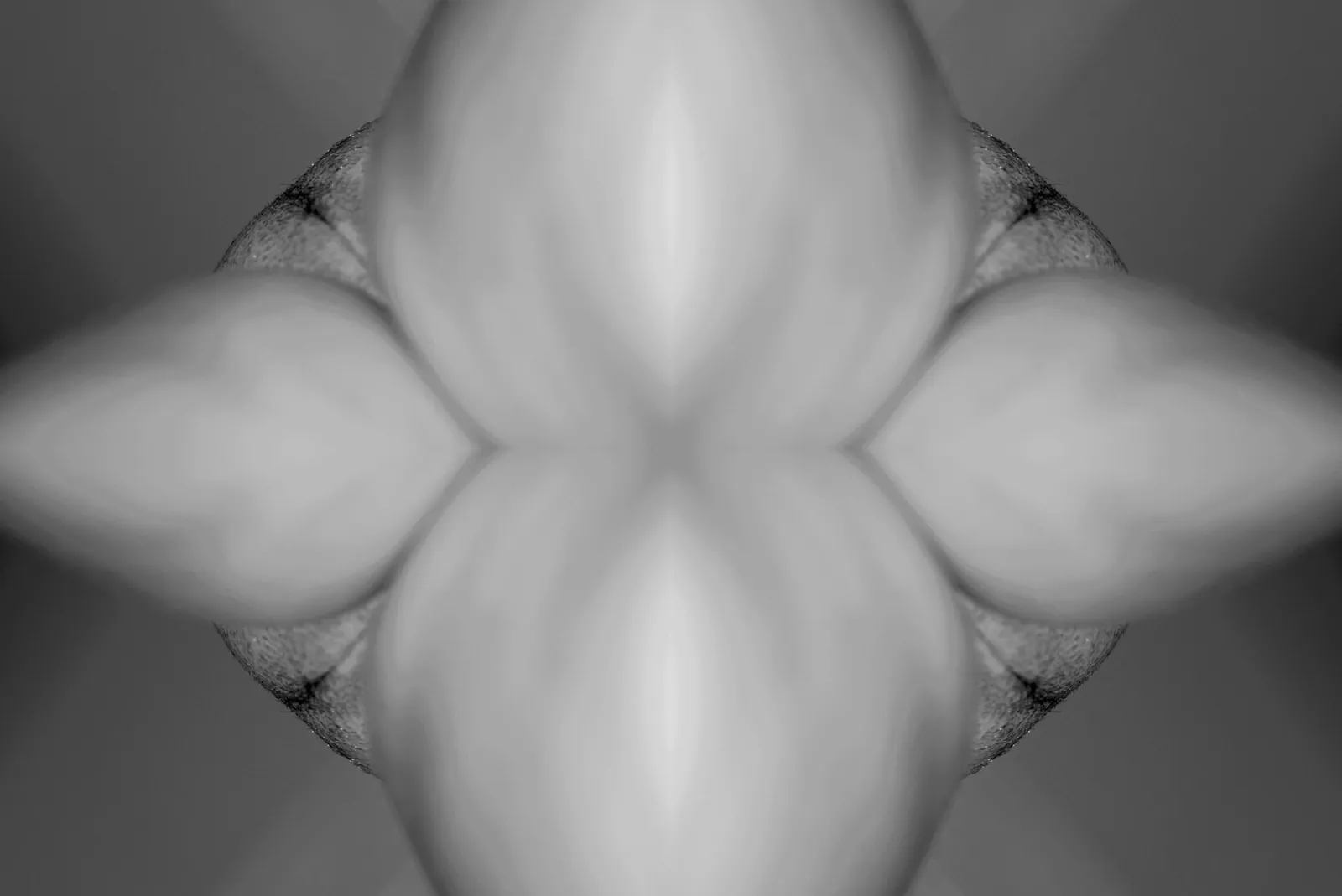 La ruleta, from the series Sensus, 2014