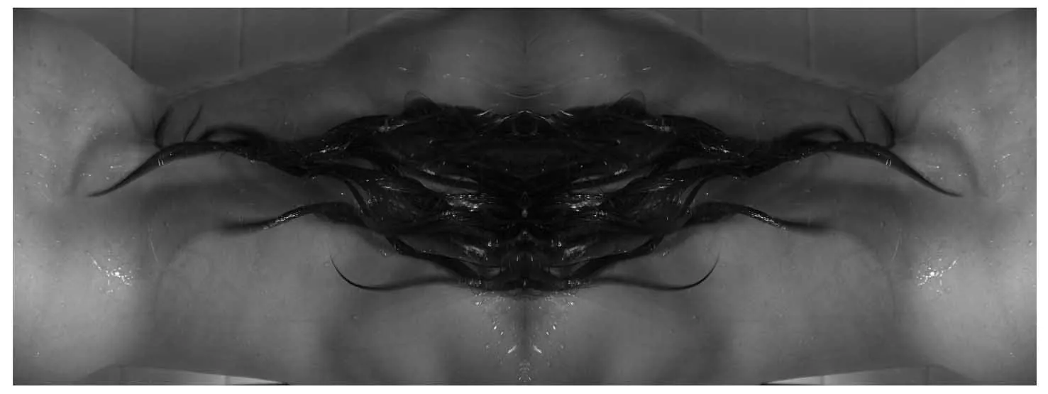 Thoughts, from the series Sensus, 2014